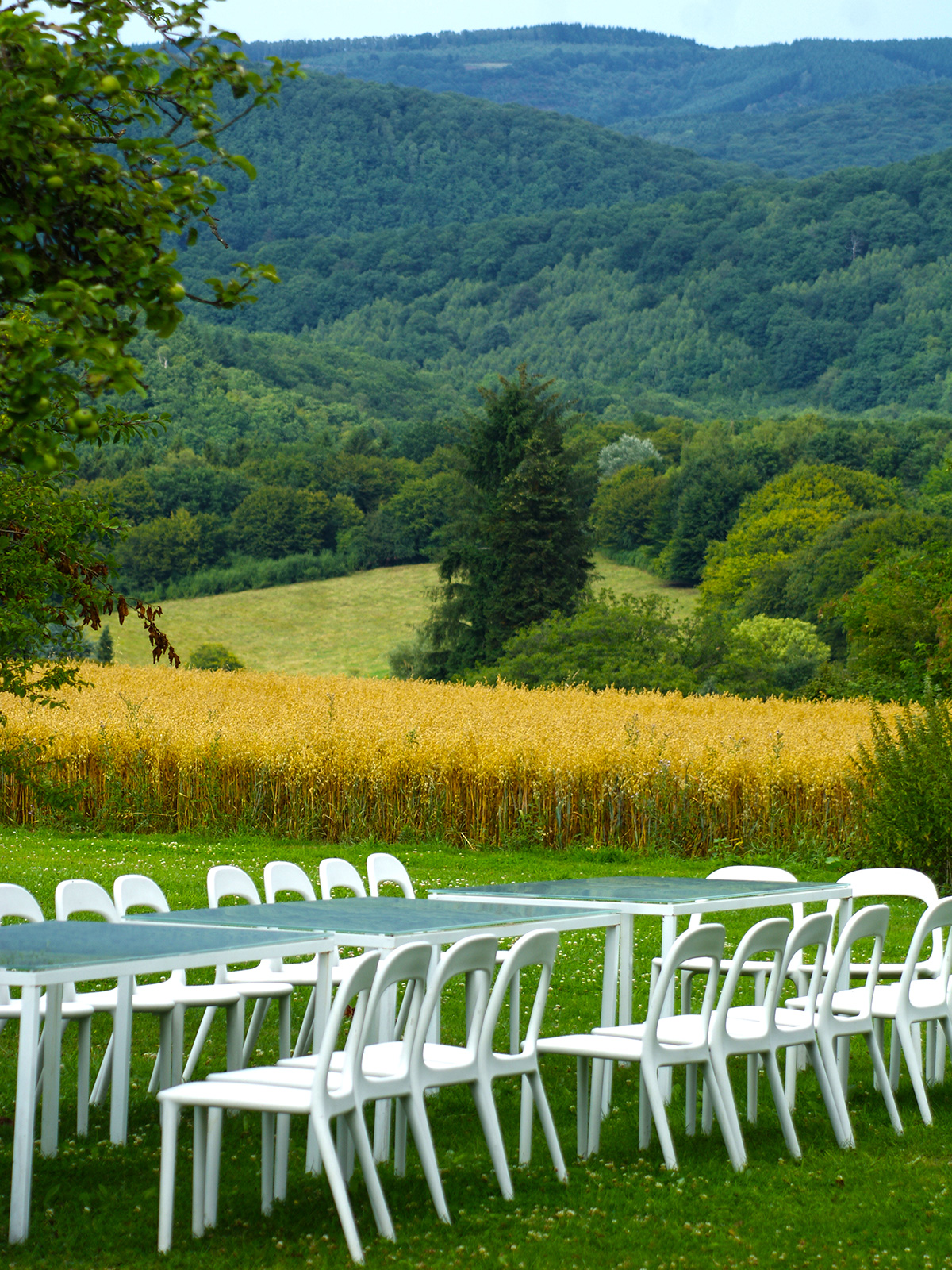 Dirk Coopman, landschapsarchitectuur, ready-made, land art, green, bos, Ardennen, Au dessus du Bie, omgevingsaanleg